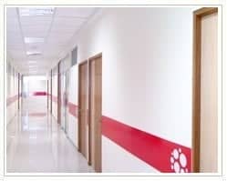 Slider image (6) InteraFertility | Assisted Reproduction